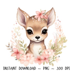 Reh PNG, Reh Clip Art, Reh Blumen Aquarell  Sublimation Design, Baby Shower Design, Erster Geburtstag, digitaler Download Frühling png
