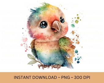Cute Baby Parrot Png Files for Sublimation | papa egg watercolor | png files for tumbler | parrot png | Watercolor animal png | png file