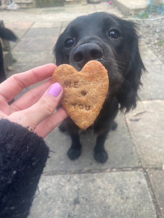 Homemade hypoallergenic dog treats cheap