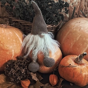 Crochet pattern for Little Gnome toy, crochet dwarf pattern, crochet gnome pattern, crochet toy pattern, home decoration pattern
