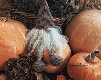 Crochet Little Gnome Toy Pattern, Home Decoration (PDF Pattern)
