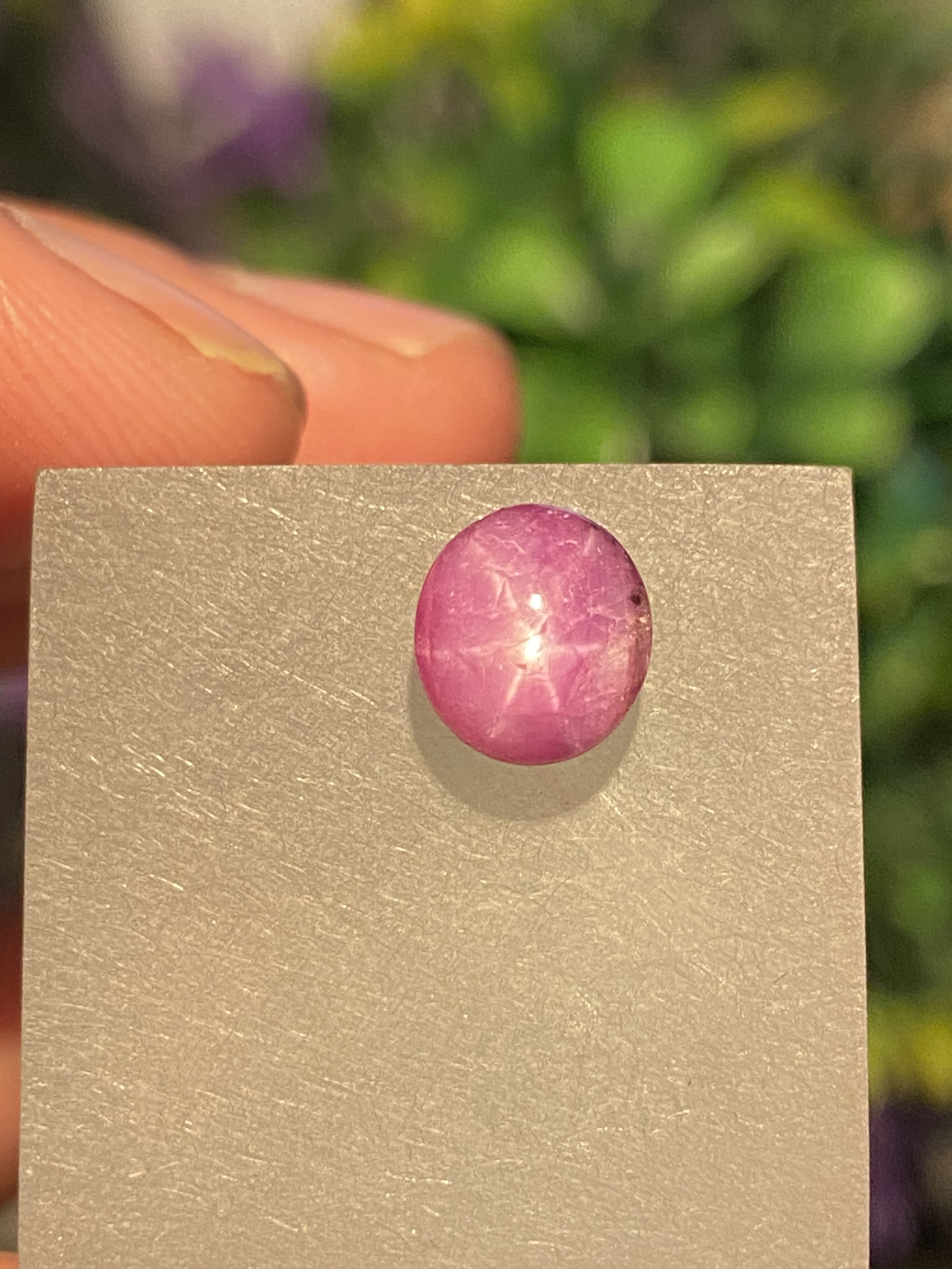 Natural Star Ruby 3.50 Carat 6 Rays High Quality Oval