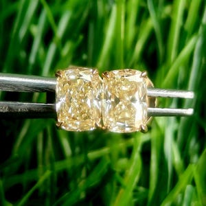 0.50-6.00ctw Yellow Elongated Cushion Lab Grown Diamond Martini Stud Earrings | IGI Certified | 14K Gold