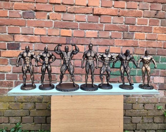 Mr Olympia collection pack 25cm -  7 figurines - Arnold,Jay Cutler,Ronnie Coleman,Dorian Yates, Dexter Jackson,Phil Heath,Frank Zane
