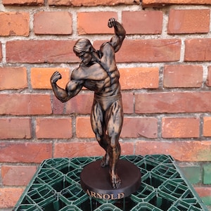 Arnold Schwarzenegger Statue ,,Arnold Classic avec support Hauteur 20/37/55 cm Séance photo bronze image 3