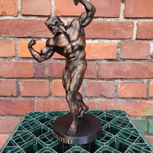 Arnold Schwarzenegger -  ,,Arnold Classic&quot; statue with stand - 20/25/37/55cm height - (Bronze photoshoot)