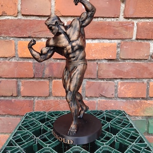 Arnold Schwarzenegger Statue ,,Arnold Classic avec support Hauteur 20/37/55 cm Séance photo bronze Bronze (painted)