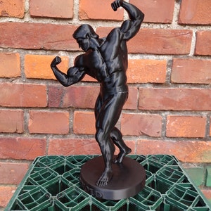 Arnold Schwarzenegger Statue ,,Arnold Classic avec support Hauteur 20/37/55 cm Séance photo bronze Noir