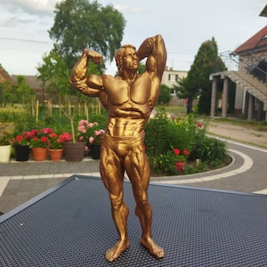 Arnold Schwarzenegger statue - 37cm height