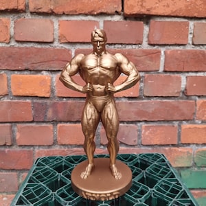Arnold Schwarzenegger - ,,Lat spread pose&#39;&#39; statue with stand - 20/25/35/55cm height (Dark Gold photoshoot)