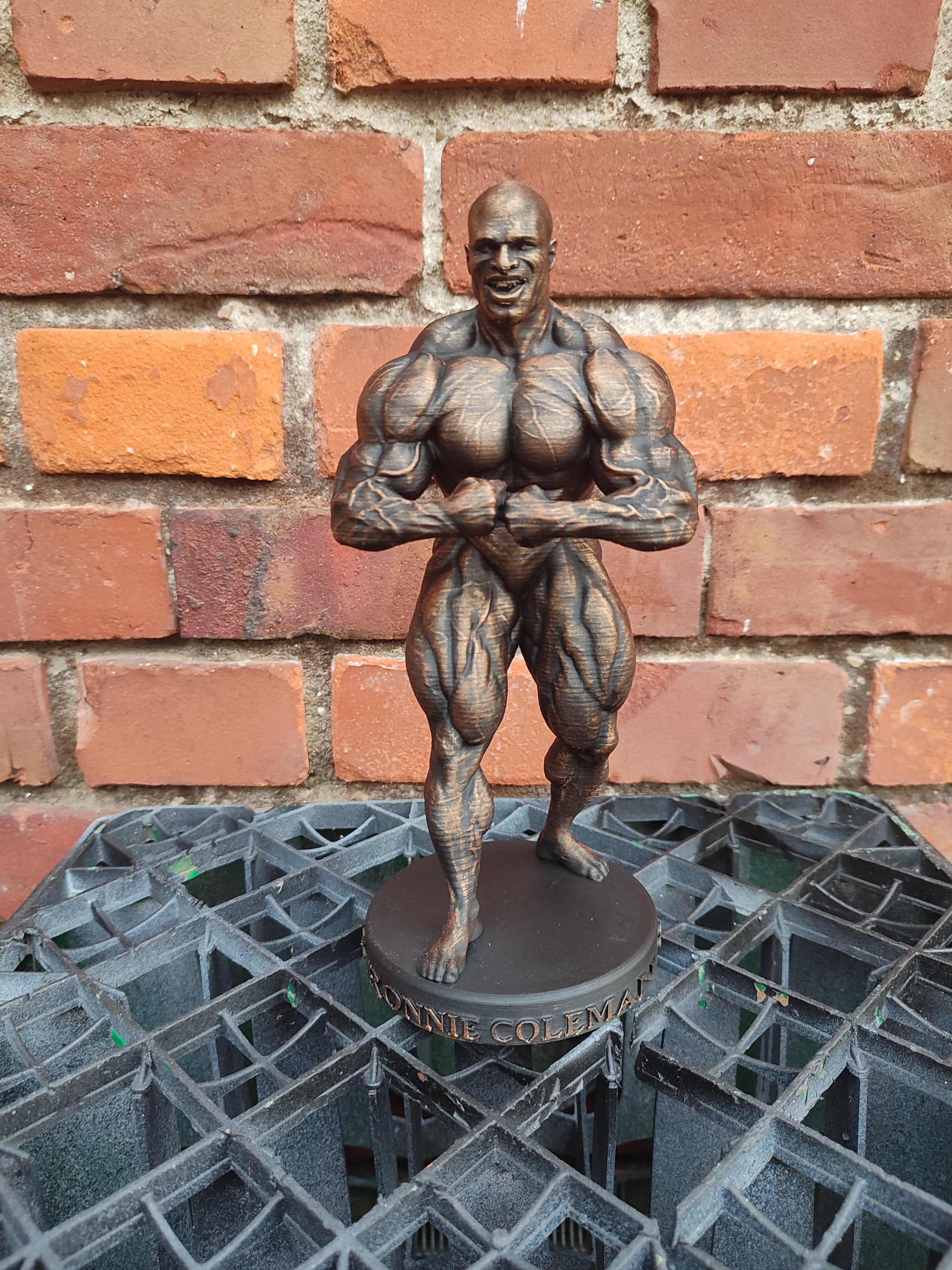 Ronnie Coleman - Most Muscular statue bodybuilder mr olympia gym figure (bronze photoshoot)
