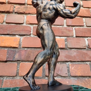 Arnold Schwarzenegger Statue ,,Arnold Classic avec support Hauteur 20/37/55 cm Séance photo bronze image 5