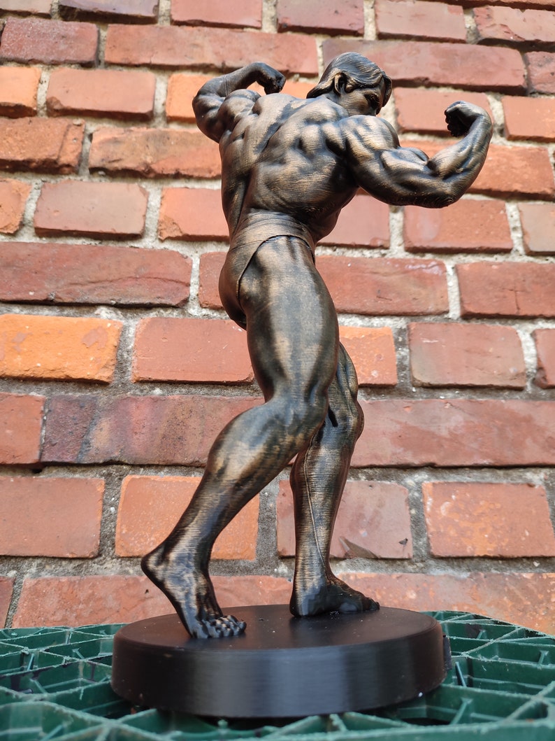 Arnold Schwarzenegger Statue ,,Arnold Classic avec support Hauteur 20/37/55 cm Séance photo bronze image 5