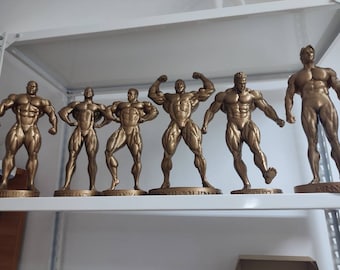 Mr Olympia collection pack - 6 figurines with stands - Arnold,Jay Cutler,Ronnie Coleman,Dorian Yates,Dexter Jackson,Phil Heath