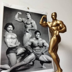 Arnold Schwarzenegger - Mr Olympia figure with stand in ,,Pumping Iron&#39;&#39; pose - 20/25/34/55cm height