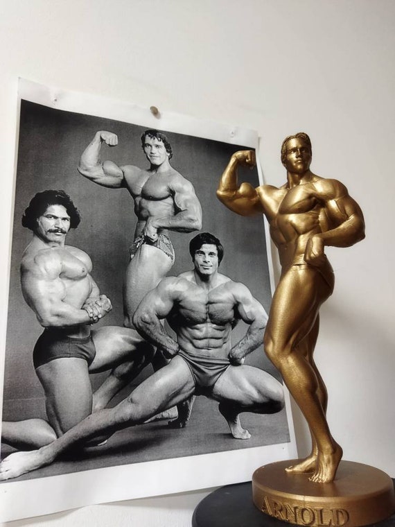 Arnold Schwarzenegger Bodybuilding Photo Poster Wall Print Arnie Mr  Universe 04