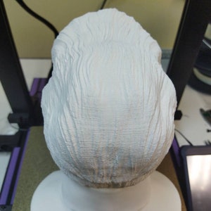 May include: White 3D printed bust of a person with a detailed hairstyle. The bust is sitting on a white base.