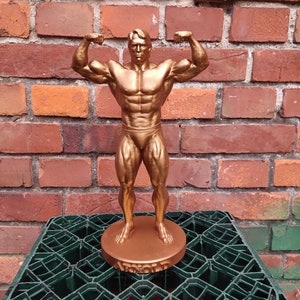 Arnold Schwarzenegger -  ,,Front Double Biceps&quot; statue with stand - 20/25/35.5/55cm height - (Dark Gold photoshoot)
