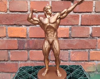 Arnold Schwarzenegger - ,,Classic pose&#39;&#39; statue with stand - 20/25/37/55cm heigh - (Dark gold photoshoot)