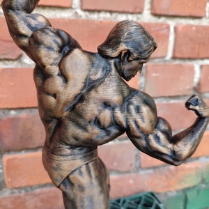 Arnold Schwarzenegger Statue ,,Arnold Classic avec support Hauteur 20/37/55 cm Séance photo bronze image 6