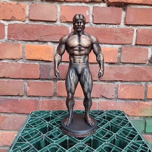 Mike Mentzer statue - Heavy Duty figurine 20/25/35.5/55cm height - Bronze (Shredded version)