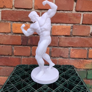 Arnold Schwarzenegger Statue ,,Arnold Classic avec support Hauteur 20/37/55 cm Séance photo bronze White (ready2paint)