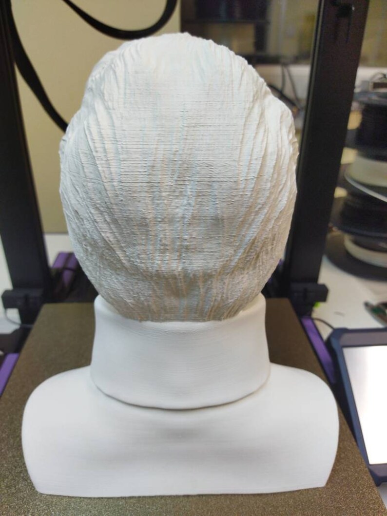 May include: White 3D printed bust of a person with a high collar. The bust is facing away from the camera and the back of the head is visible.