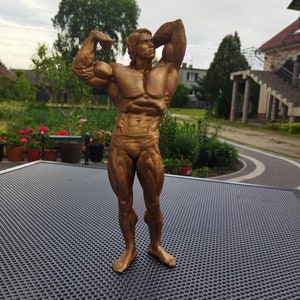 Arnold Schwarzenegger statue - 33cm height