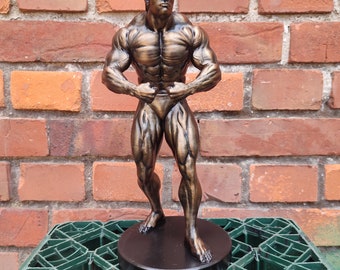 Arnold Schwarzenegger - ,,Najbardziej umięśniony'' posąg z podstawą - 20/25/35/55/75/100 cm wysokości (sesja zdjęciowa z brązu)