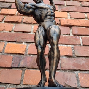 Arnold Schwarzenegger Statue ,,Arnold Classic avec support Hauteur 20/37/55 cm Séance photo bronze image 4