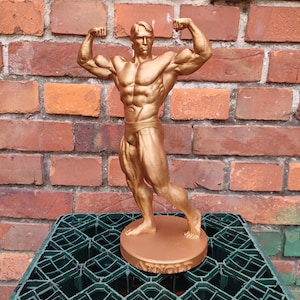 Arnold Schwarzenegger -  ,,Front Double Biceps v.2&quot; statue with stand - 20/25/36/55cm height (Dark Gold photoshoot)