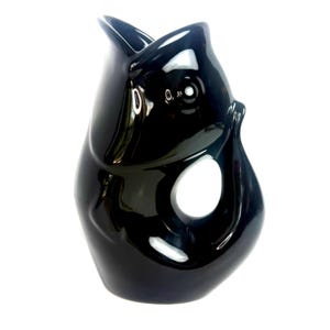 May include: A glossy black ceramic jug shaped like a fish. The jug features a large pouring opening and a fin-like handle. The design incorporates a white eye and a white opening on the side. The jug is set against a white backdrop.