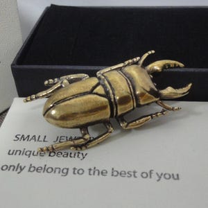 Retro Solid Brass Beetle Insect Figurine Statue Garden Ornament with Gift Box