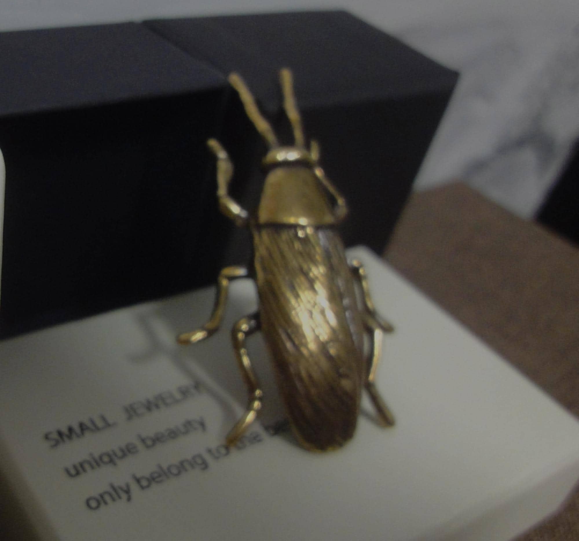 Retro Solid Brass Cockroach Figurine: Home Ornament - Etsy