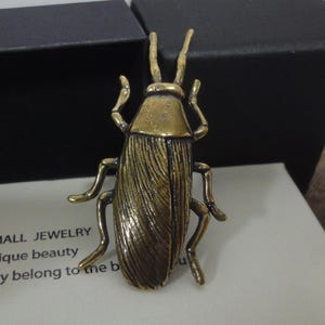 May include: A gold-colored metal brooch in the shape of a cockroach. The brooch has a detailed, textured surface and is a unique piece of jewelry.