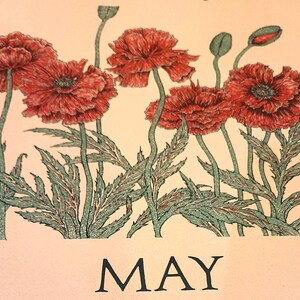May include: A botanical illustration featuring vibrant red poppies with green stems and leaves. The word "MAY" is printed in a bold, black font at the bottom of the image. The artwork has a vintage aesthetic.