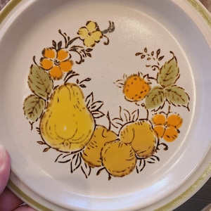 Harvest Collection stoneware salad plates and coffee cups