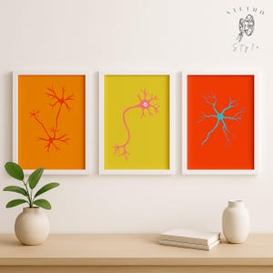 May include: Three framed art prints featuring neuron illustrations. Each print has a white frame and a vibrant background: orange, yellow, and red. The neuron designs are in shades of red, pink, and blue. The artwork is displayed on a wooden surface.
