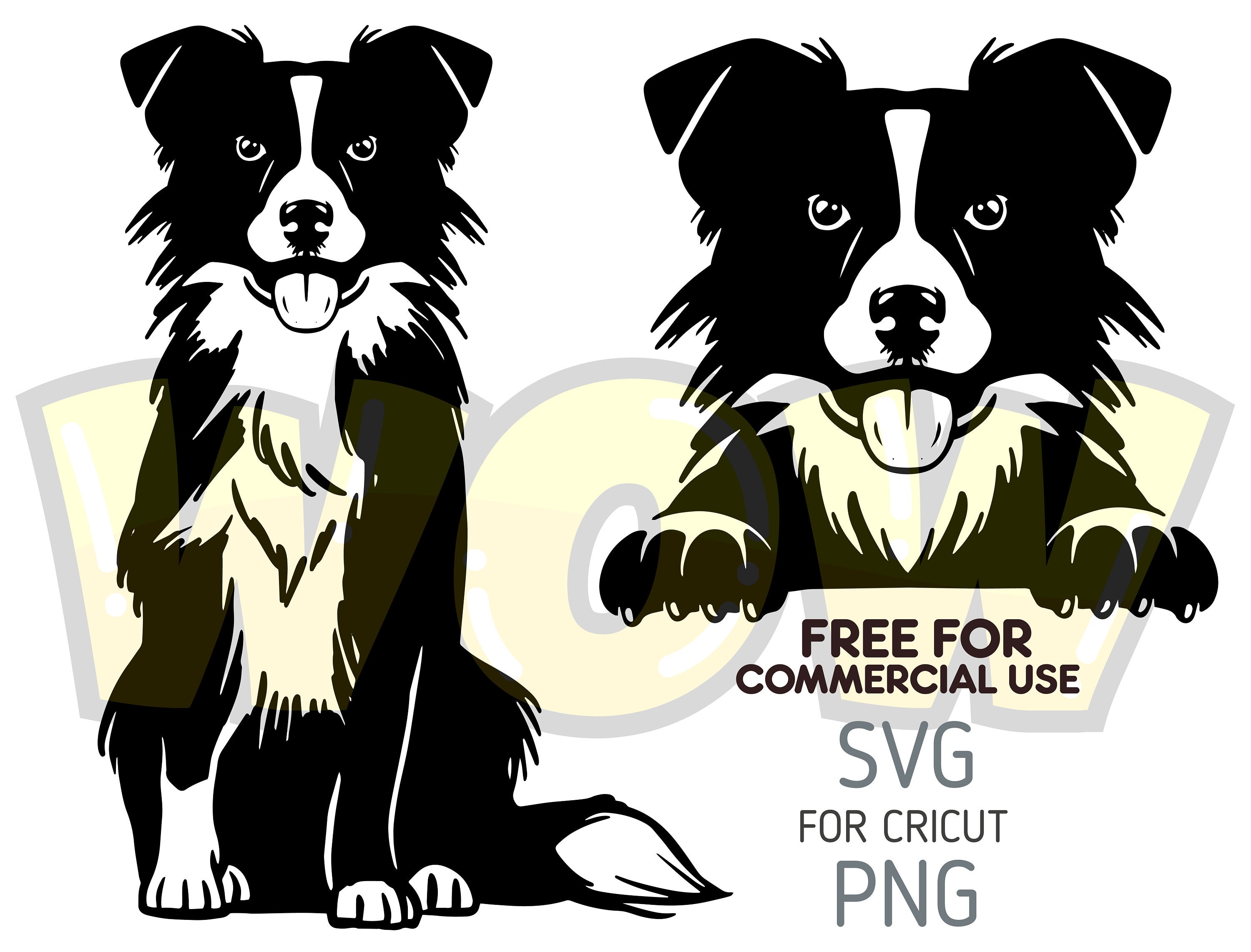 Cute Border Collie Svg for Cricut. Dog Svg Cricut. Cute Border Collie
