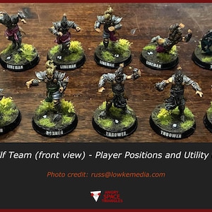 May include: A collection of painted miniature fantasy figures arranged in two rows, including various player positions like linemen, blitzers, and throwers on circular bases with green flocking, accompanied by three six-sided white dice.