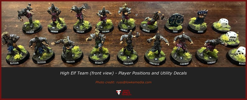 May include: A collection of painted miniature fantasy figures arranged in two rows, including various player positions like linemen, blitzers, and throwers on circular bases with green flocking, accompanied by three six-sided white dice.