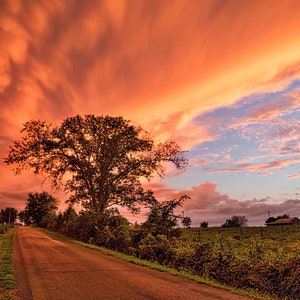 May include: A long, winding country road leads through a field of green grass and trees. The sky is a vibrant orange and pink, with clouds creating a dramatic effect.