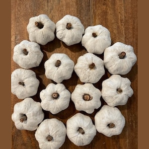 May include: A collection of 14 white, paper mache pumpkins with a rustic, natural look. The pumpkins are arranged in a circle on a wooden surface.