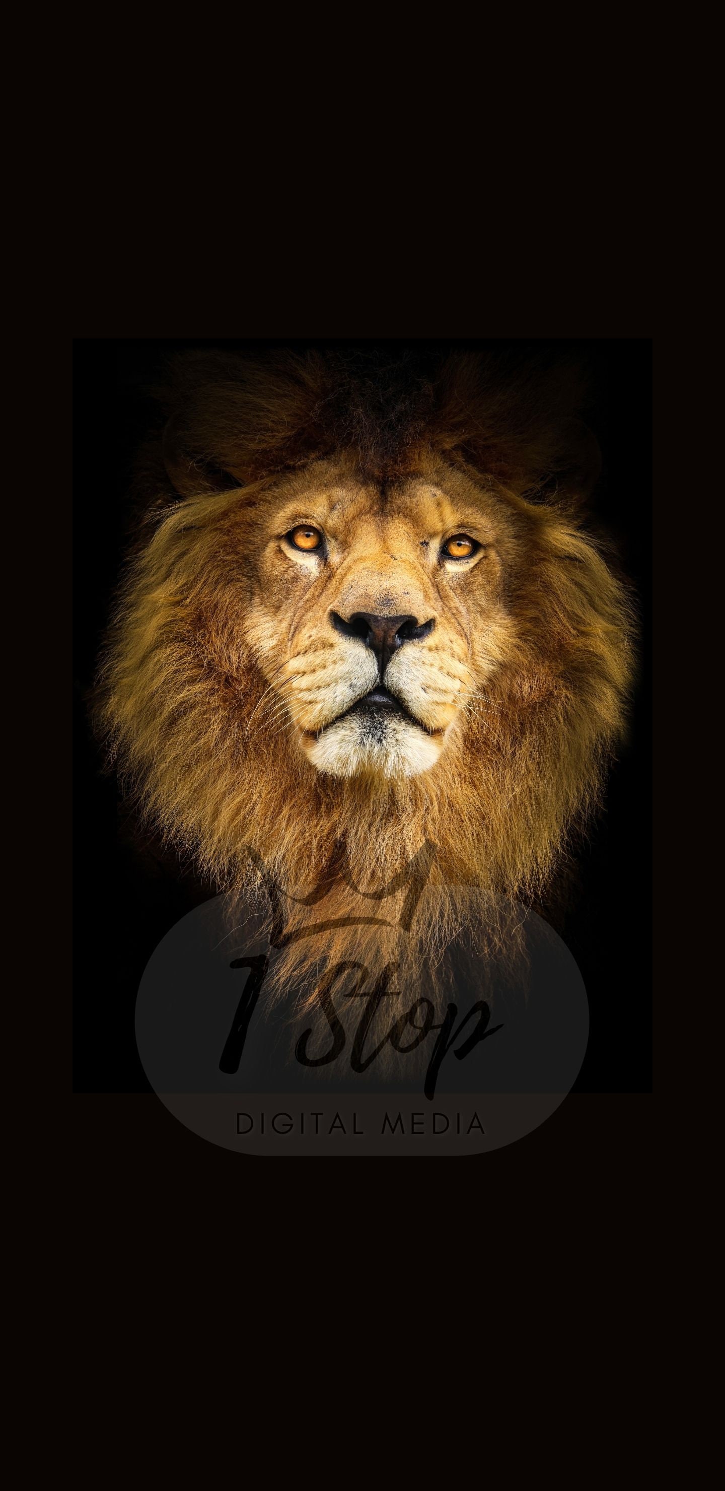 Big Cat Minimalist Phone Wallpaper Lion Phone Wallpaper - Etsy Israel Big Cat Minimalist Phone Wallpaper Lion Phone Wallpaper - Etsy Israel