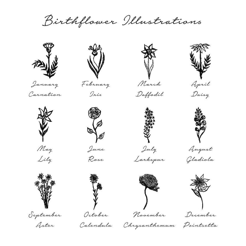 May include: A black and white illustration featuring birth flowers for each month. The image includes the names of the flowers and the months they represent, such as January Carnation, February Iris, and March Daffodil.