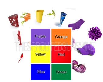 Montessori Color Matching Cards-Digital