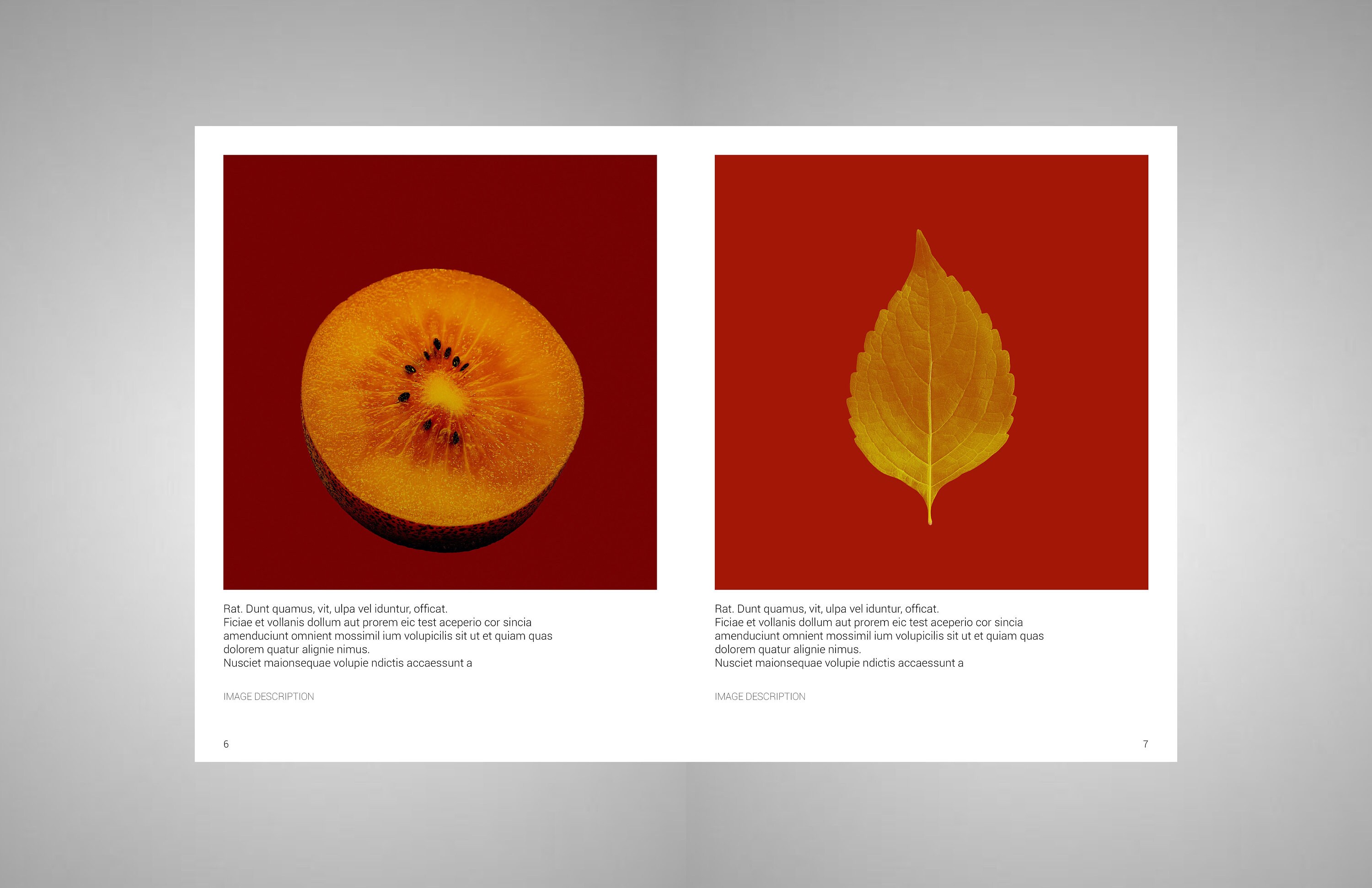 portfolio-template-minimalism-photography-art-etsy