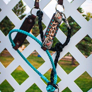 Lariat Hybrid Halter