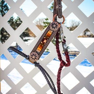 May include: A brown leather horse halter with decorative metal accents. The halter features a patterned center piece with a mix of colors. A dark red rope and a black rope are attached to the halter.