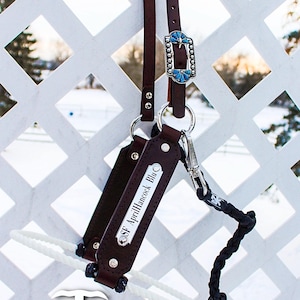 Custom Nameplate Hybrid Lariat Halter
